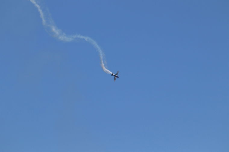 IMG 3731