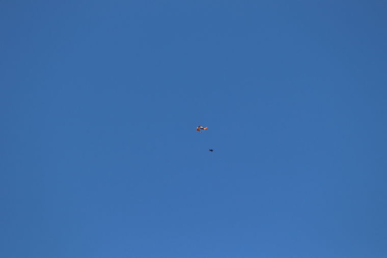 IMG 4011