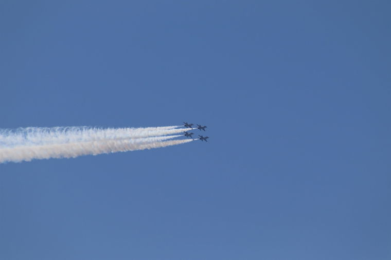 IMG 4461