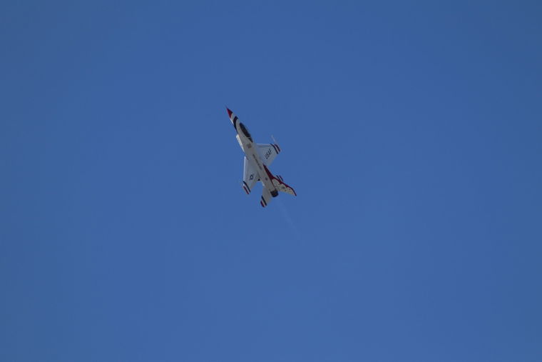 IMG 4553