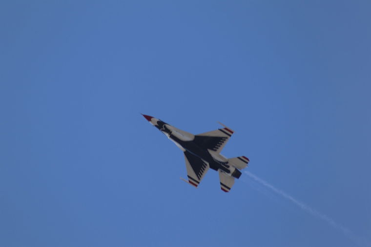 IMG 4597