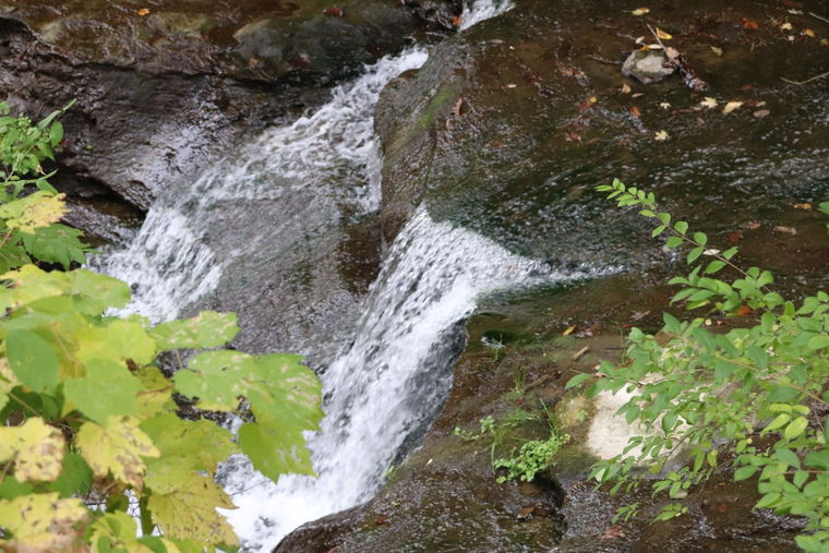 IMG 7014