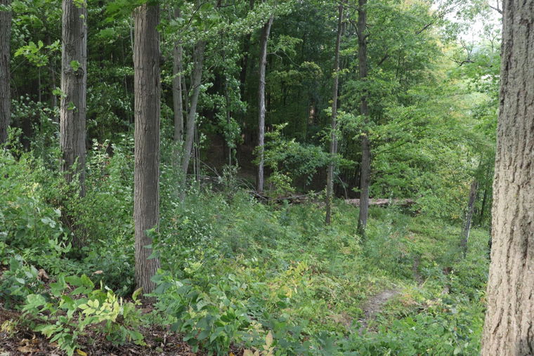 IMG 7080