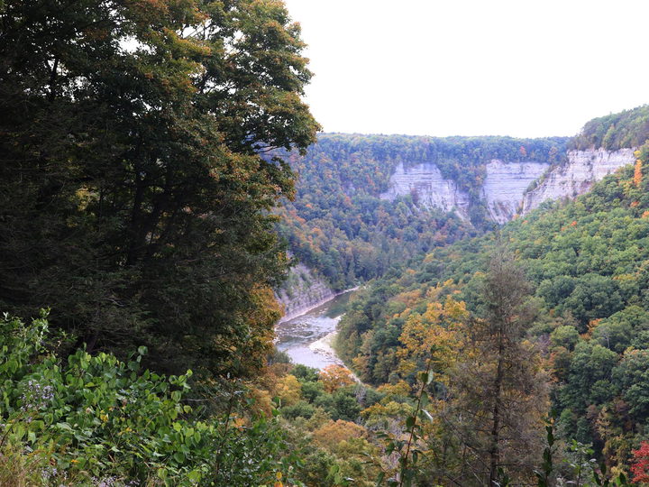Fall Foliage in Letchworth