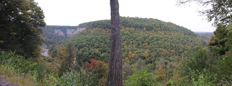 Overlook Combined