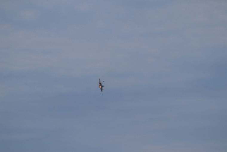 IMG 4767