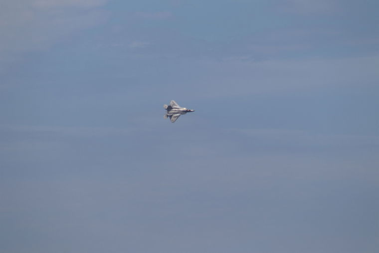 IMG 4771