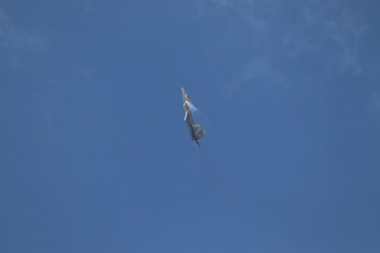 IMG 4798
