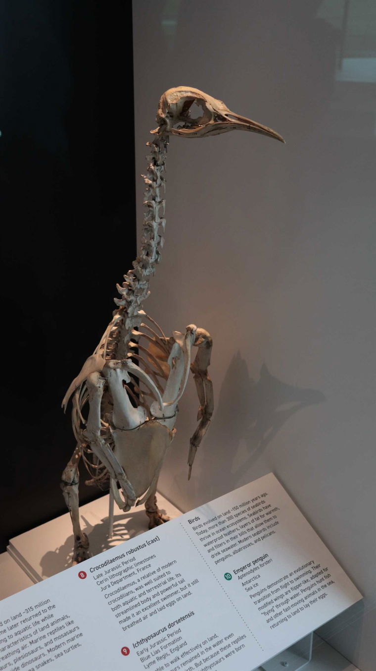 IMG 3585