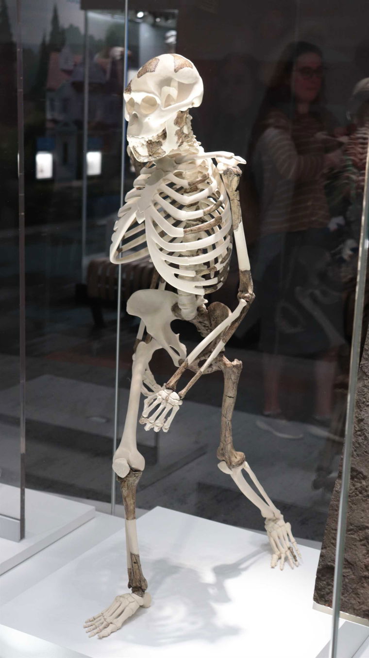 IMG 3784